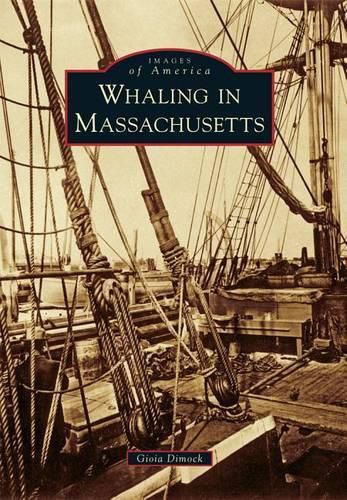 Cover image for Whaling in Massachusetts