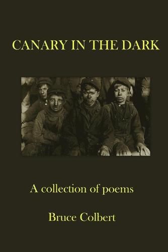 Cover image for Canary in the Dark