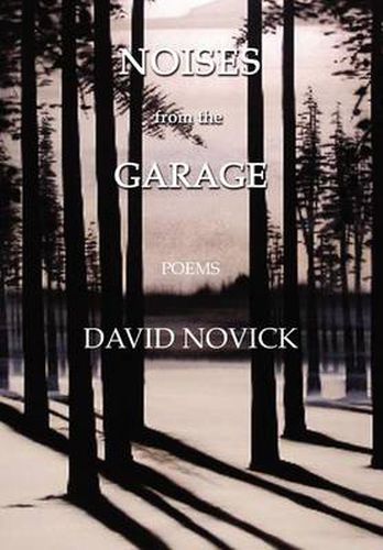 Cover image for Noises from the Garage