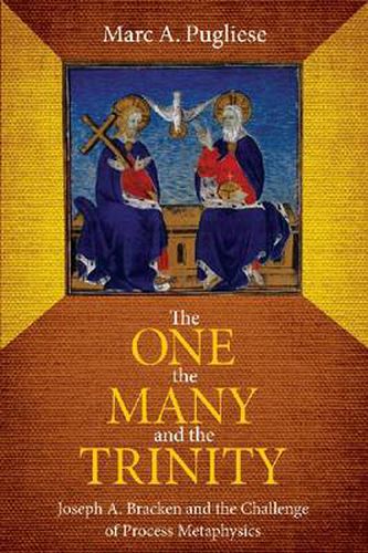 Cover image for The One, the Many and the Trinity: Joseph A. Bracken and the Challenge of Process Metaphysics