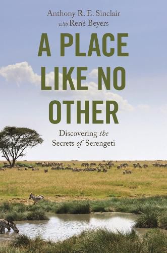 Cover image for A Place like No Other