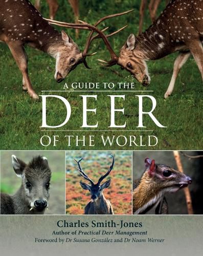 Cover image for A Guide to the Deer of the World