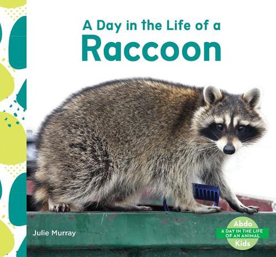 Cover image for Day in the Life of a Raccoon