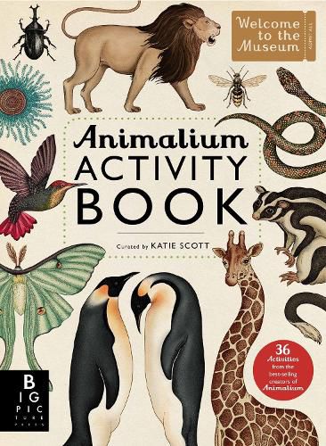 Cover image for Animalium Activity Book