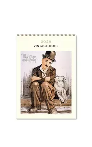 Cover image for Vintage Dogs Medium 2026 Calendar