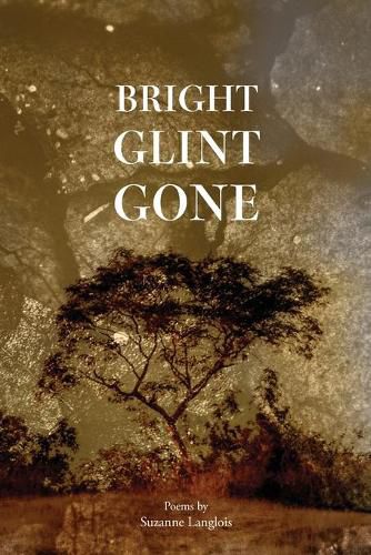 Cover image for Bright Glint Gone