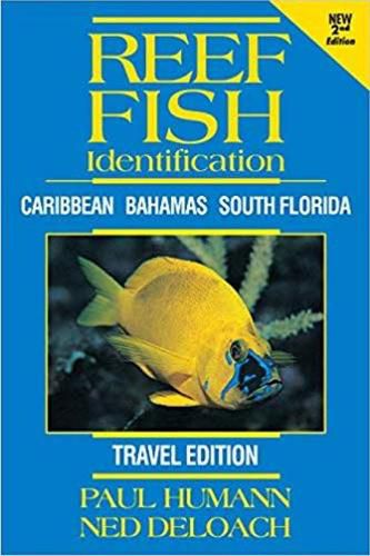 Cover image for Reef Fish Identification -- Travel Edition: Caribbean Bahamas South Florida