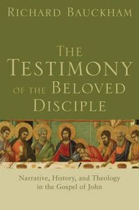 Cover image for The Testimony of the Beloved Disciple - Narrative, History, and Theology in the Gospel of John