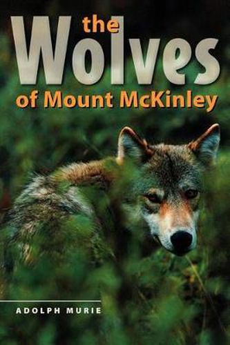 Cover image for The Wolves of Mount McKinley