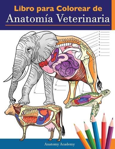 Cover image for Libro para colorear de anatomia veterinaria: Libro de trabajo para colorear de autoevaluacion de fisiologia animal para estudiar y relajarse Un regalo perfecto para estudiantes veterinarios e incluso adultos