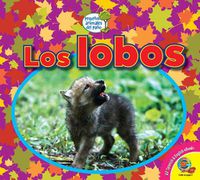 Cover image for Los Lobos