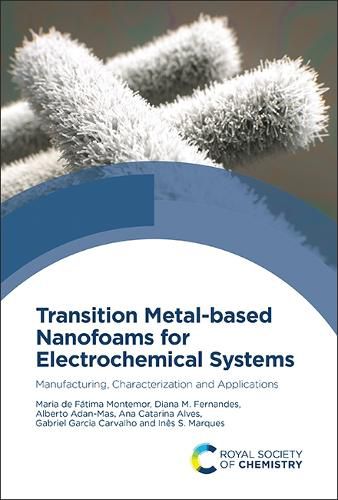 Transition Metal-based Nanofoams for Electrochemical Systems