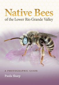 Cover image for Native Bees of the Lower Rio Grande Valley