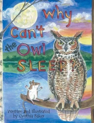 Cover image for Why Can't the Owl Sleep?