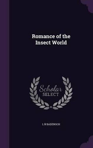 Cover image for Romance of the Insect World