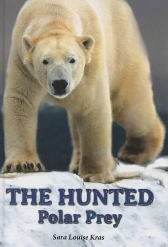 Cover image for The Hunted: Polar Prey