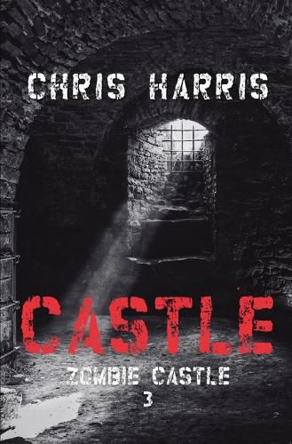 Cover image for Castle