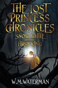 Cover image for The Lost Princess Chronicles