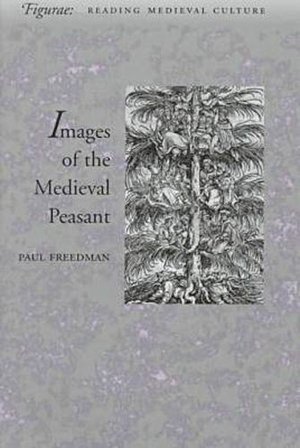 Cover image for Images of the Medieval Peasant