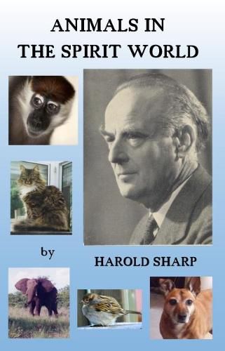 Cover image for Animals in the Spirit World