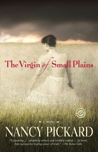 Cover image for The Virgin of Small Plains: A Novel