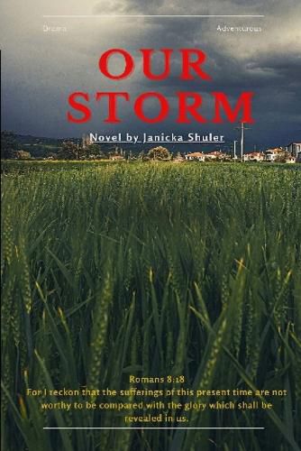 Cover image for Our Storm