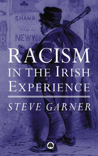 Cover image for Racism in the Irish Experience