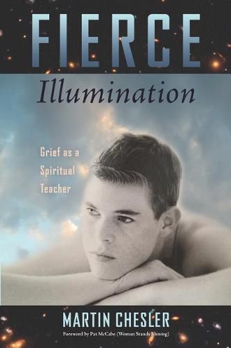 Cover image for Fierce Illumination