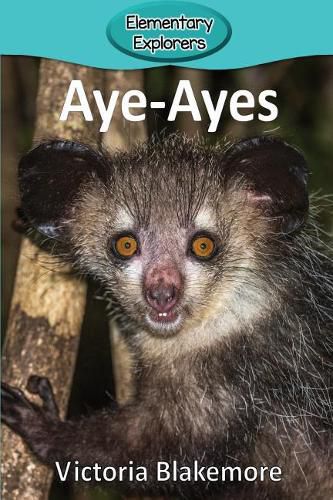 Cover image for Aye-Ayes