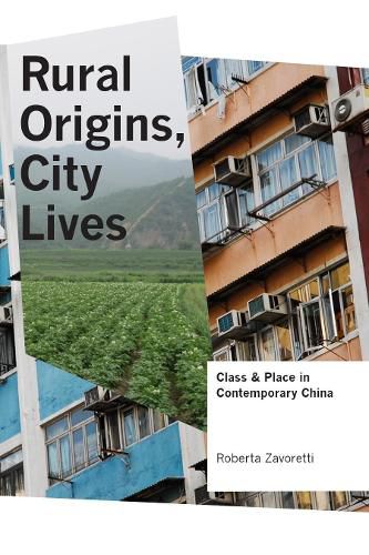 Cover image for Rural Origins, City Lives: Class and Place in Contemporary China