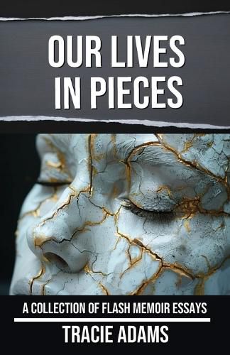 Cover image for Our Lives in Pieces