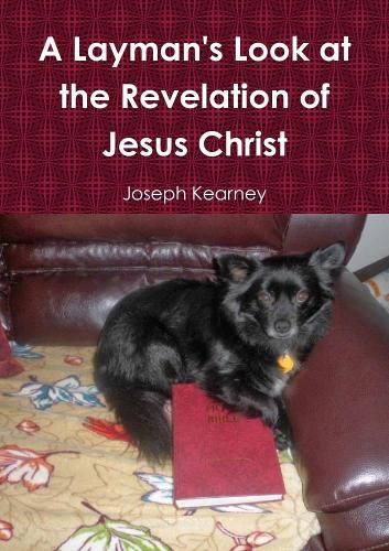 Cover image for A Layman's Look at the Revelation of Jesus Christ