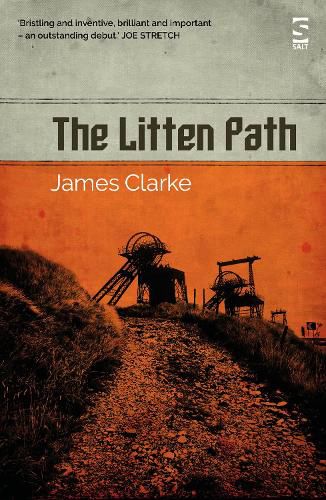 Cover image for The Litten Path