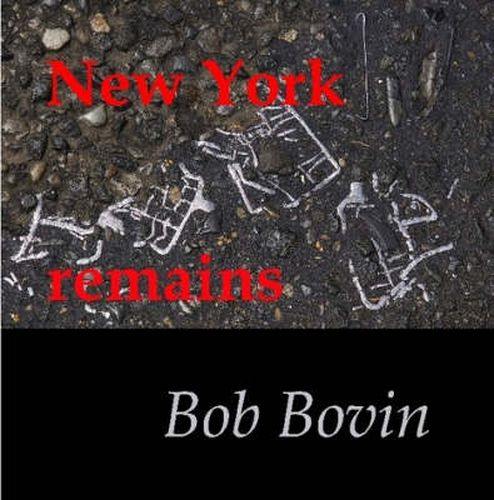 Cover image for New York Remains