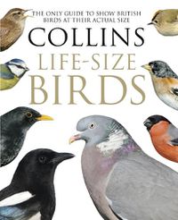 Cover image for Collins Life-Size Birds: The Only Guide to Show British Birds at Their Actual Size