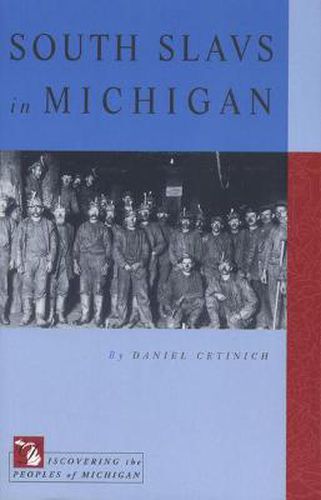 Cover image for South Slavs in Michigan