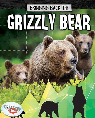 Grizzly Bear: Bringing Back The