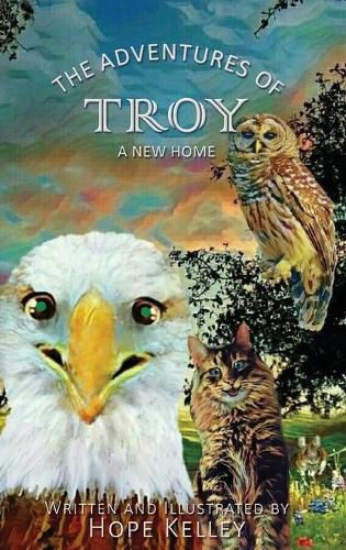 Cover image for The Adventures of Troy A New Home