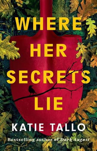 Cover image for Where Her Secrets Lie