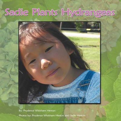 Cover image for Sadie Plants Hydrangeas