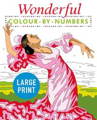 Cover image for Wonderful Colour by Numbers Large Print: Easy to Read