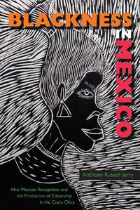 Cover image for Blackness in Mexico