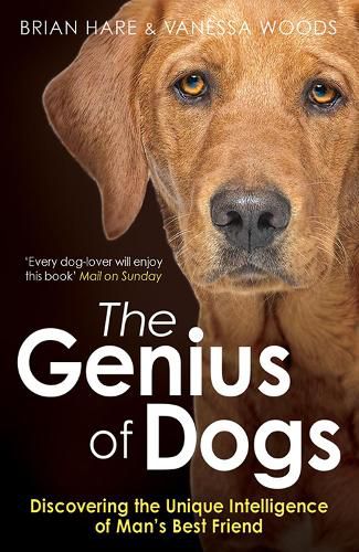 Cover image for The Genius of Dogs: Discovering the Unique Intelligence of Man's Best Friend