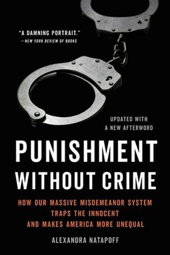 Cover image for Punishment Without Crime