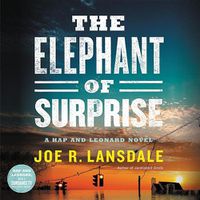 Cover image for The Elephant of Surprise
