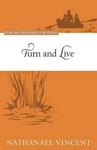 Cover image for Turn And Live