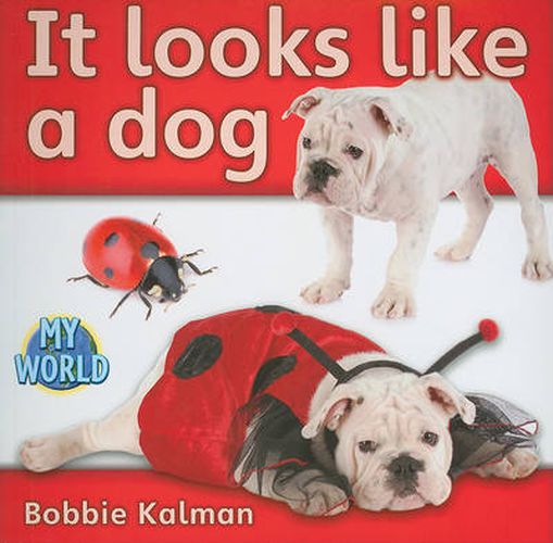 Cover image for It looks like a dog