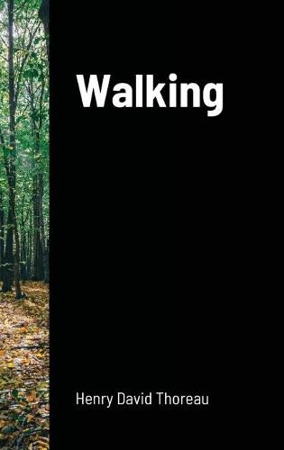 Cover image for Walking