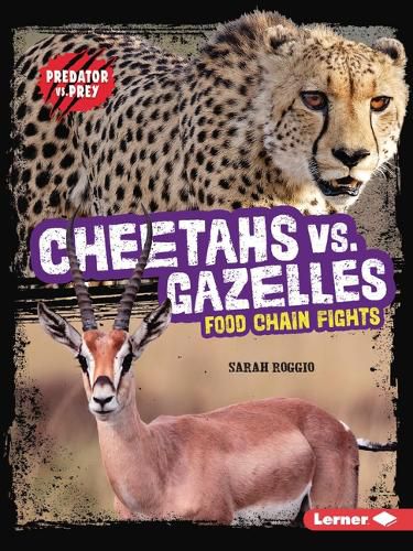 Cheetahs vs. Gazelles