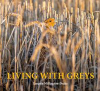 Cover image for Living with Greys